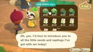 Tea Olive Bushes will be available in September (Image via Animal Crossing World)
